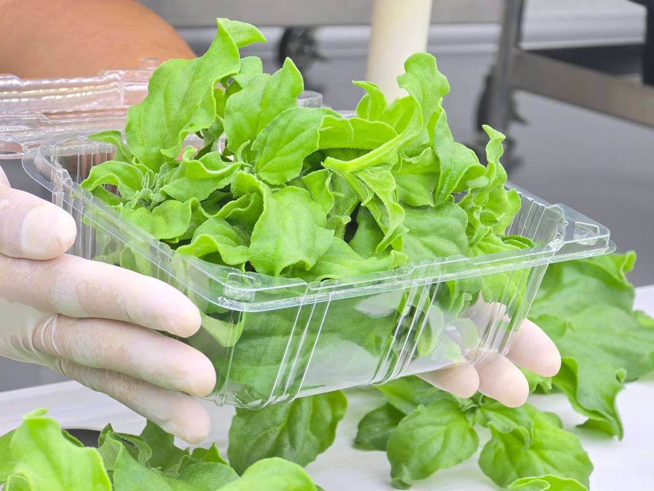 GREEN4 fresh produce delivery